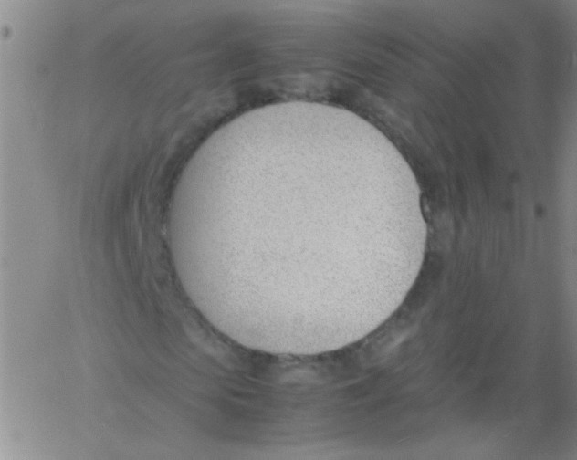 X0000060800913200512082146