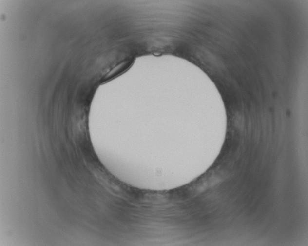 X0000060800914200512082146