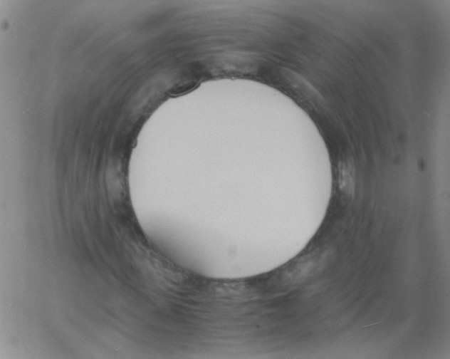 X0000060800915200512082146