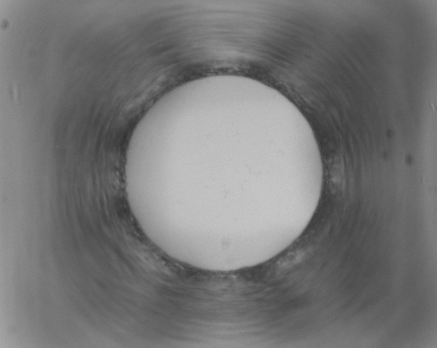 X0000060800916200512082146