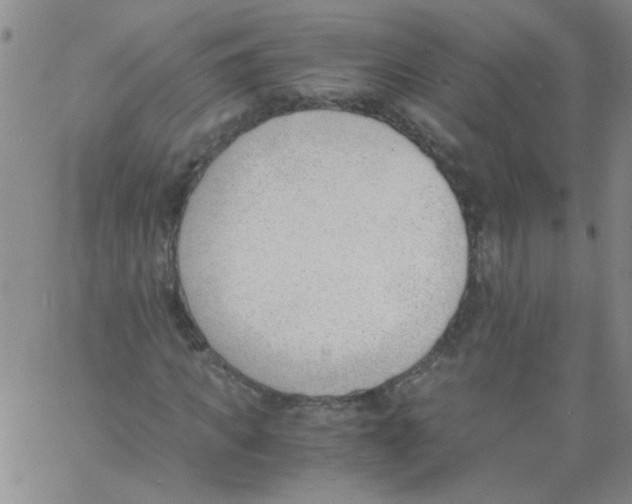 X0000060800917200512082146