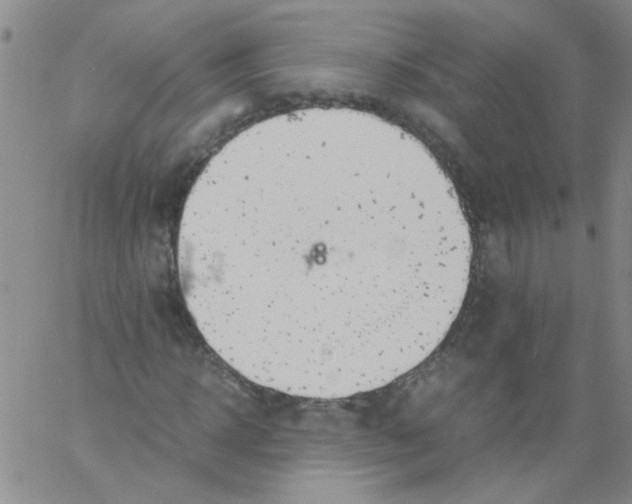 X0000060800918200512082146