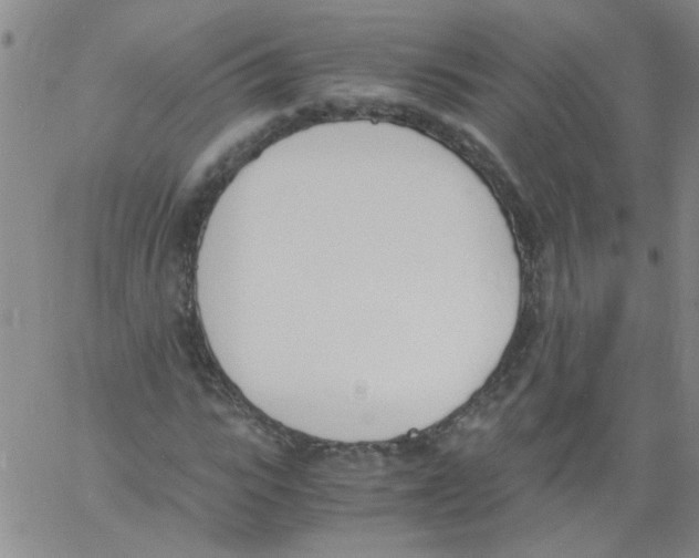 X0000060800919200512082146