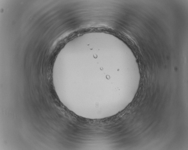 X0000060800920200512082146