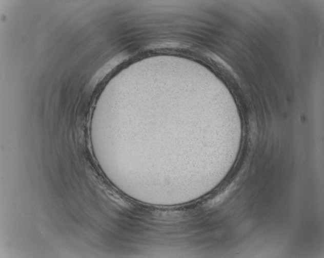 X0000060800921200512082146