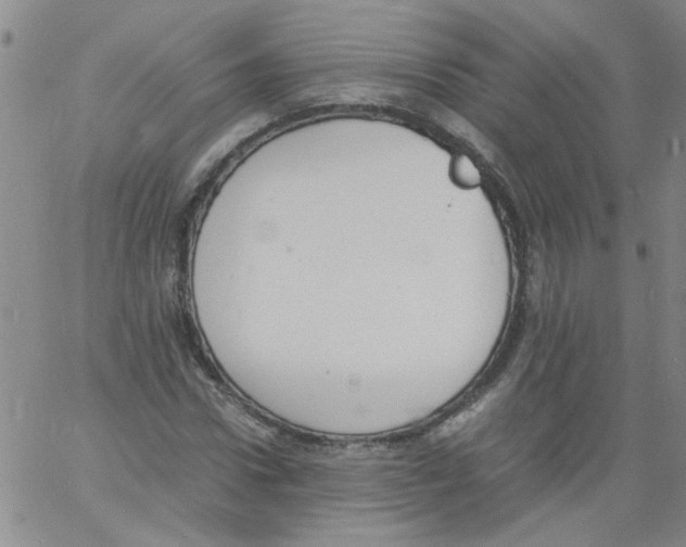 X0000060800922200512082146