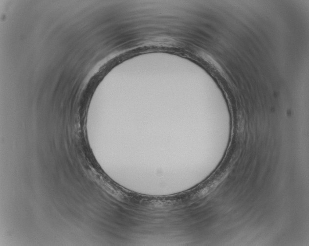 X0000060800923200512082146