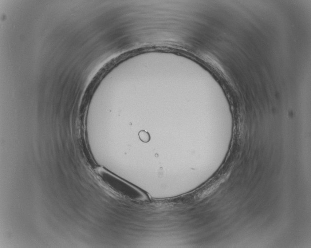 X0000060800924200512082146