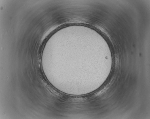 X0000060800925200512082146