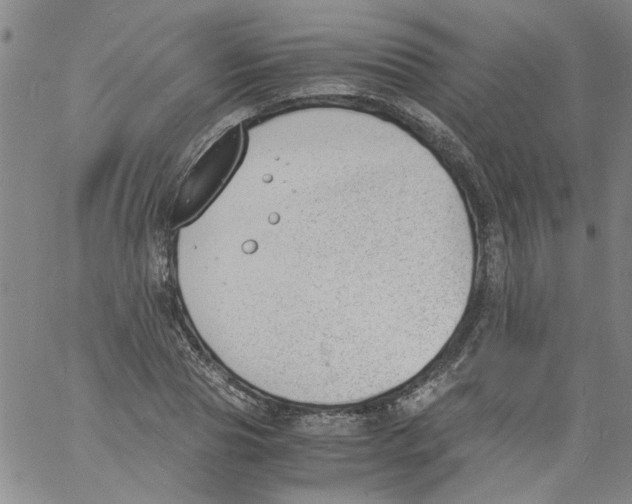 X0000060800929200512082146