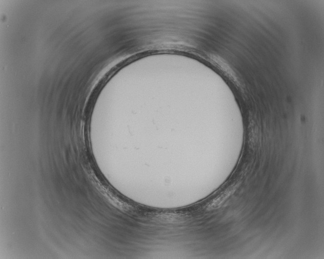 X0000060800932200512082146