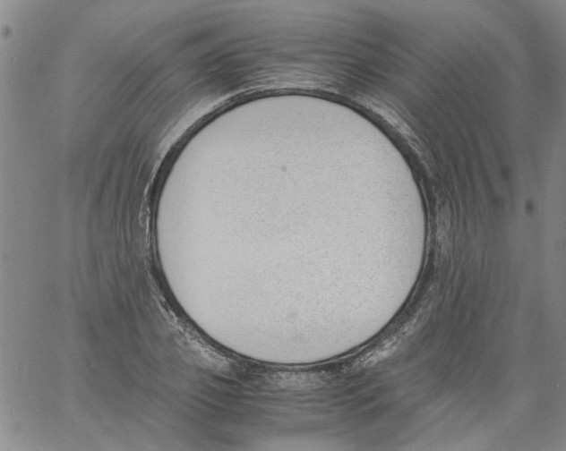 X0000060800933200512082146