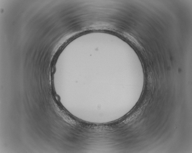 X0000060800934200512082146