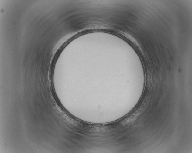 X0000060800935200512082146