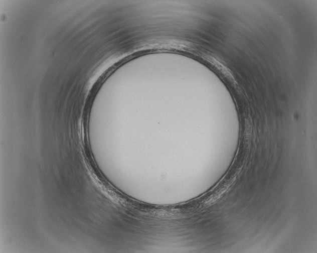 X0000060800936200512082146