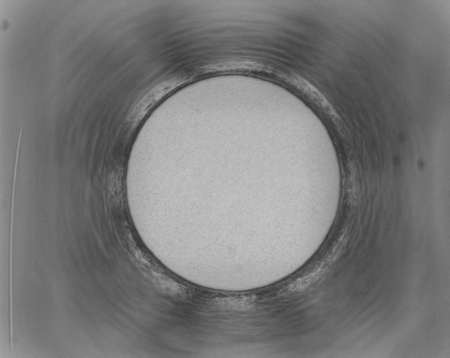 X0000060800937200512082146