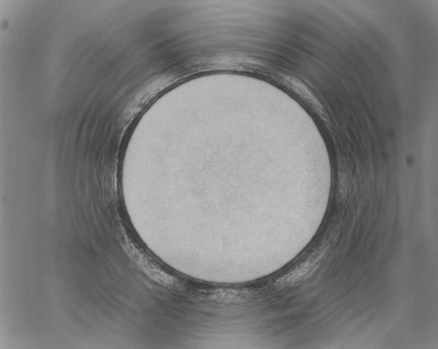 X0000060800938200512082146