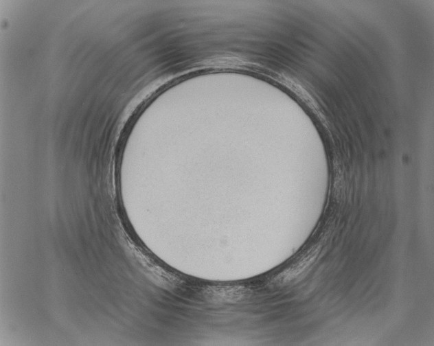 X0000060800939200512082146