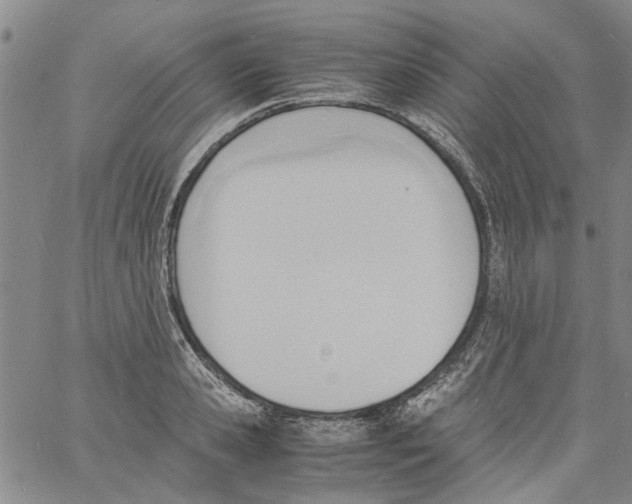 X0000060800941200512082146