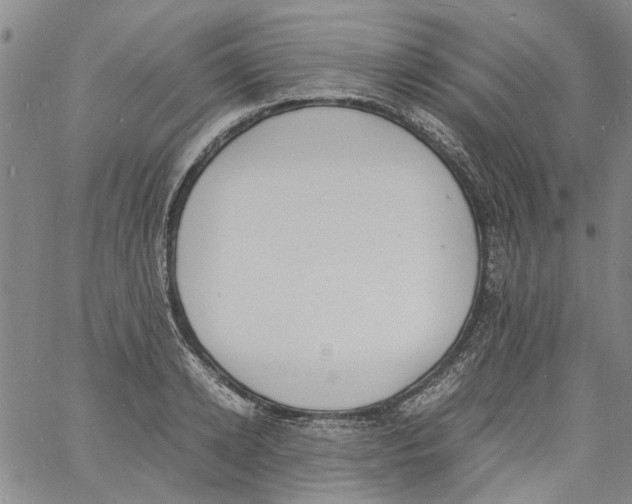 X0000060800942200512082146