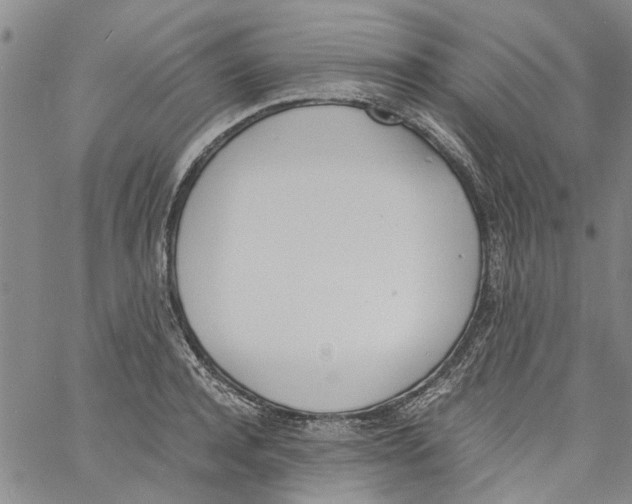 X0000060800944200512082146