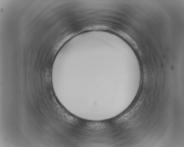 X0000060800945200512082146