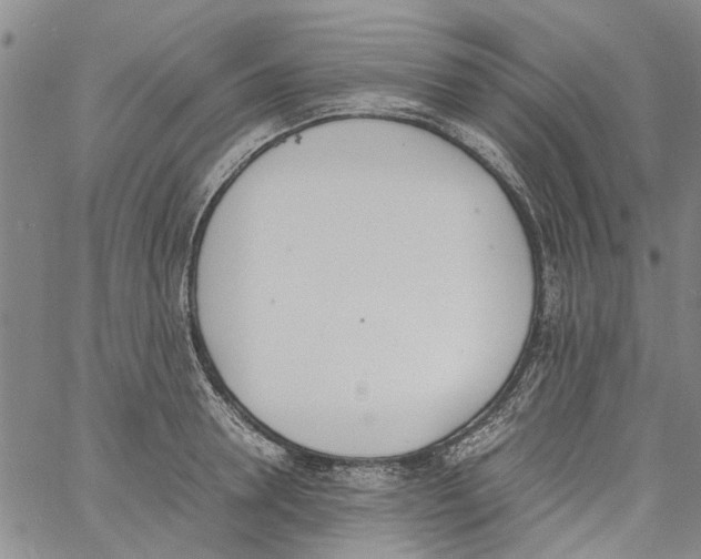 X0000060800946200512082146