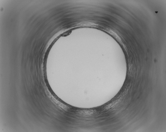 X0000060800947200512082146