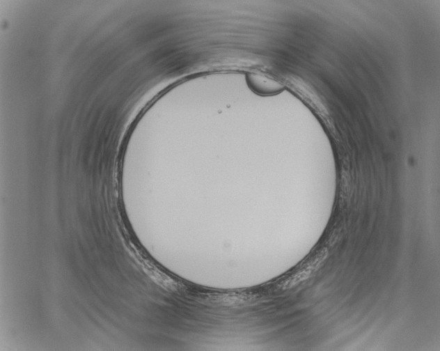 X0000060800948200512082146