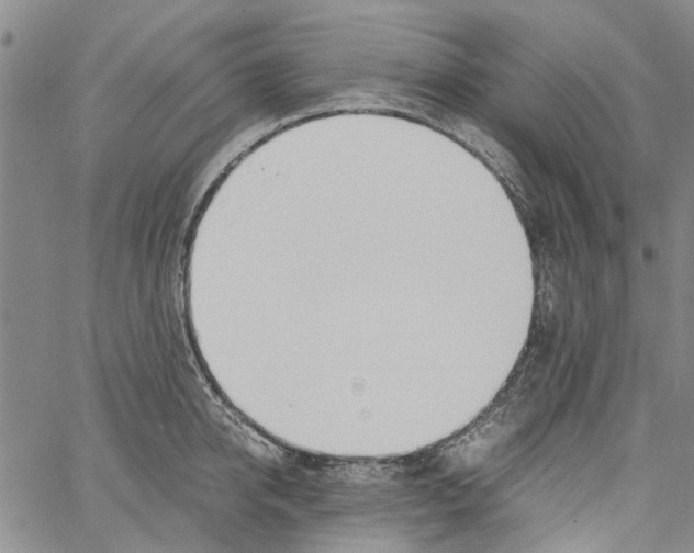 X0000060800950200512082146