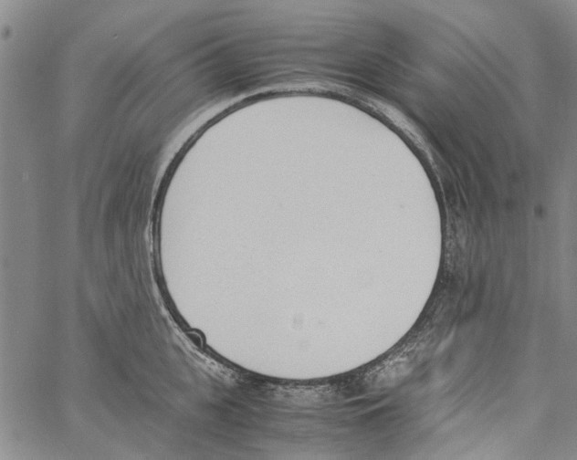 X0000060800951200512082146