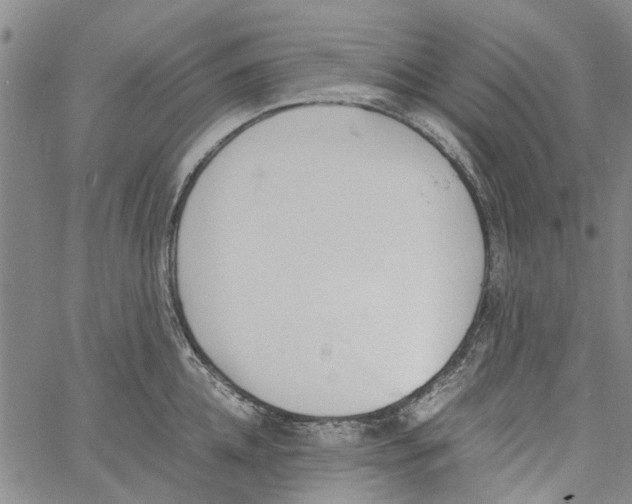 X0000060800952200512082146