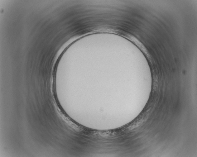 X0000060800955200512082146