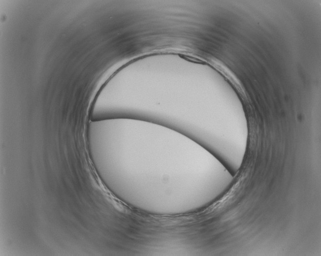 X0000060800956200512082146