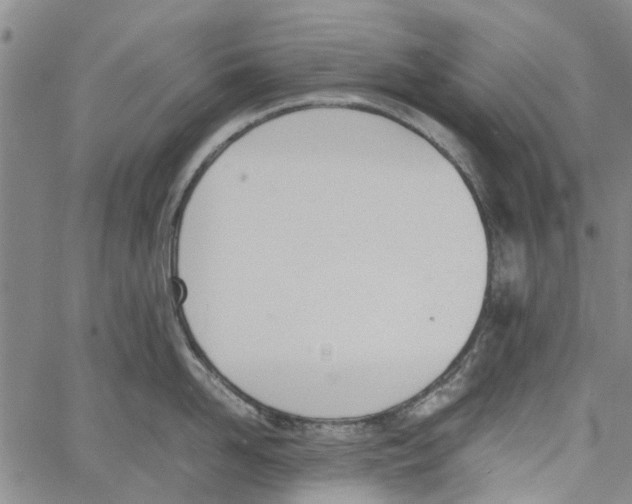 X0000060800958200512082146