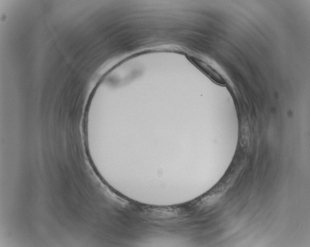 X0000060800959200512082146