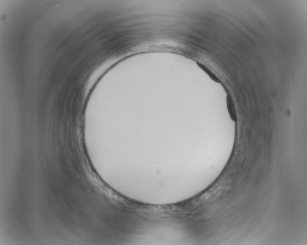 X0000060800960200512082146