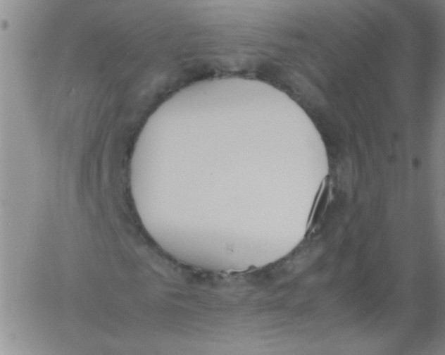 X0000060800961200512082146