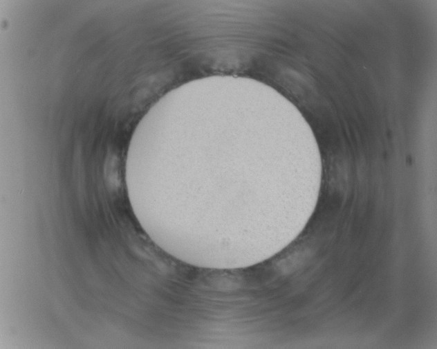 X0000060800962200512082146