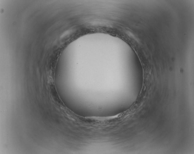 X0000060800965200512082146