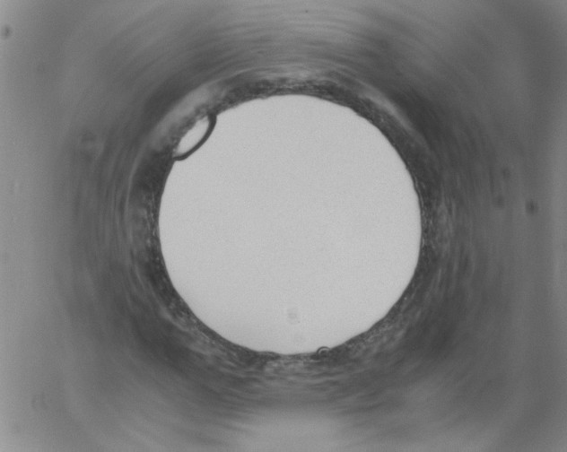 X0000060800967200512082146