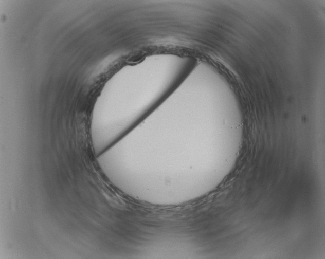 X0000060800968200512082146