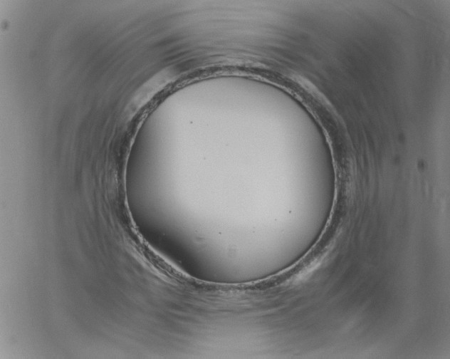 X0000060800969200512082146