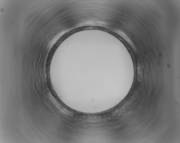 X0000060800972200512082146