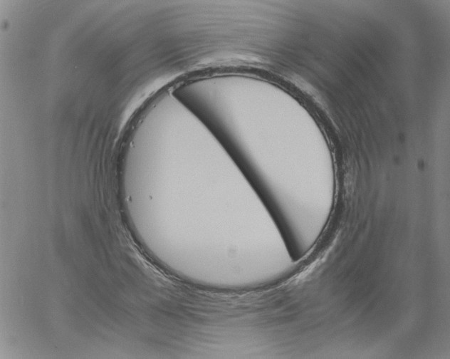 X0000060800973200512082146