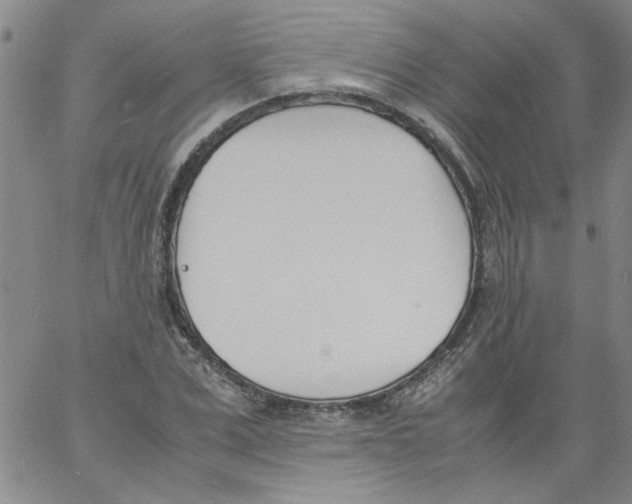 X0000060800975200512082145