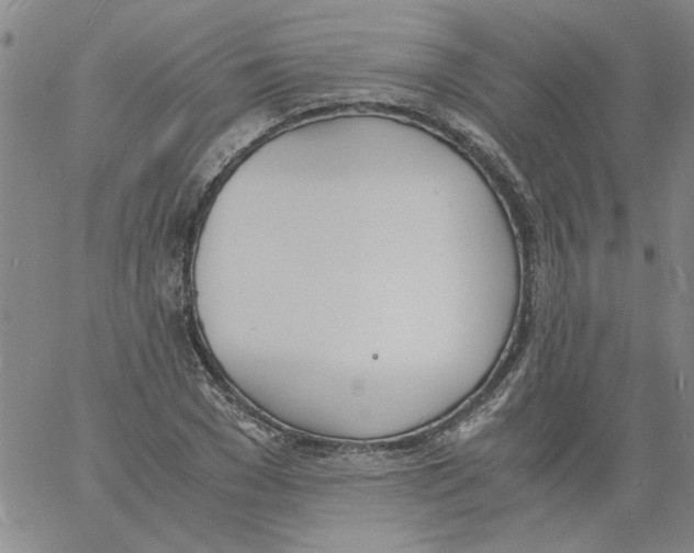 X0000060800977200512082145