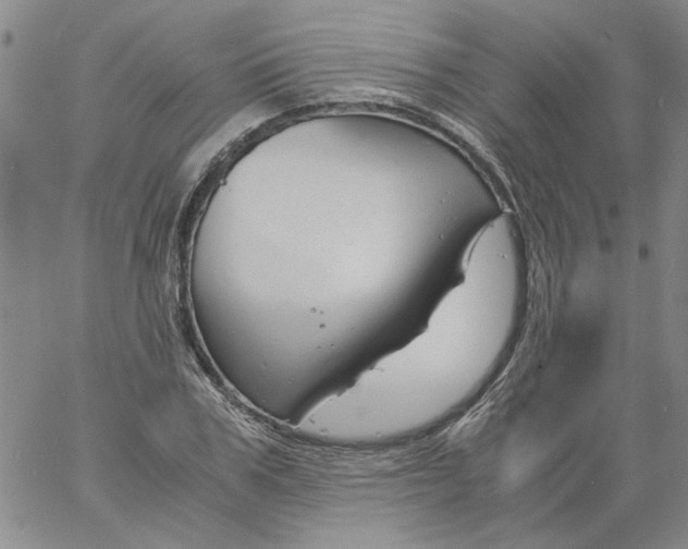 X0000060800979200512082145