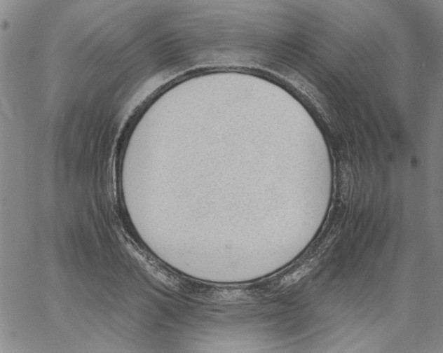 X0000060800982200512082145