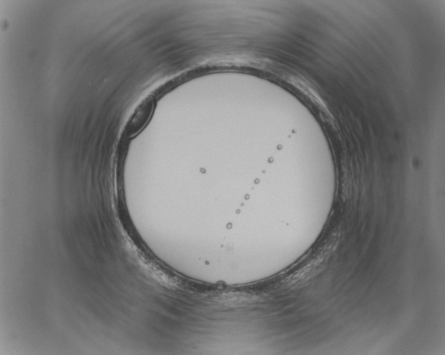 X0000060800984200512082145